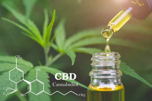 7 Fakten über CBD